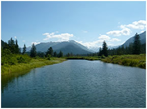 Stikine River tour